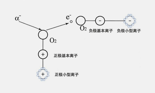 product7-print1.jpg product7-print1.jpg